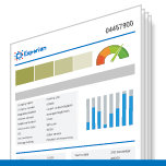 Experian Business Credit Report