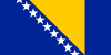 Boznia and Herzegovinia Credit Check Report
