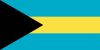Bahamas International Credit Check Report