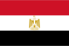 Egypt International Credit Check Report