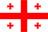 Georgia International Credit Check Report