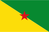 French Guiana International Credit Check Report