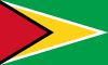Guyana International Credit Check Report