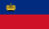 Lichtenstein International Credit Check Report