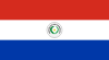 Paraguay International Credit Check Report