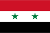 Syria International Credit Check Report