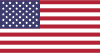 United States International Credit Check Report