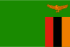 Zambia International Credit Check Report